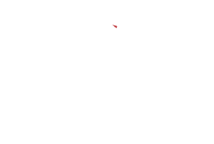 phenix-logo-white-footer